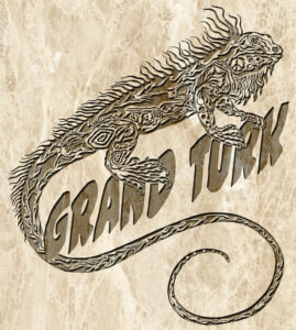 Iguana Zen