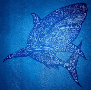 Zen Shark